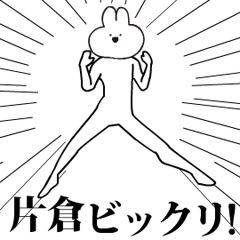 Rabbit Name katakura.moves!