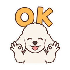 Runa_20260522171330