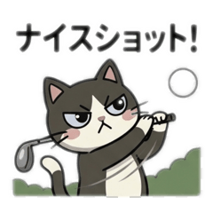kumastamp_20260522152941