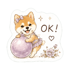 柴犬・豆柴の新体操だいすき♪日常会話