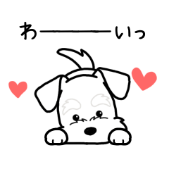 やさしいシュナウザー『感情多め』