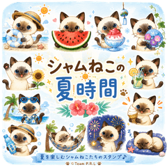 Siamese Cat Summer Time