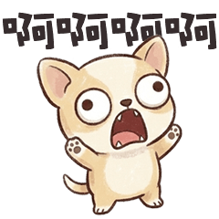 ∪•ᴥ•∪ 吉娃娃啊啊啊啊