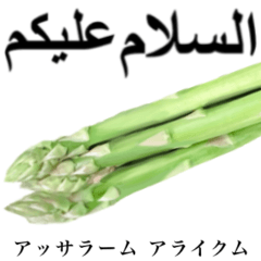 Flesh Asparagus 13