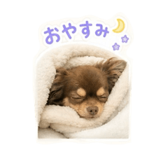 yukachi_20260521185549