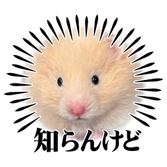 tomukunn_20260521190613