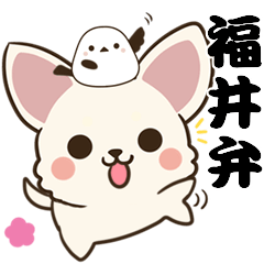 福井弁のチワワとシマエナガ