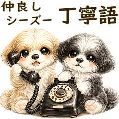 3D ペア シーズー犬 2026 「丁寧な言葉」