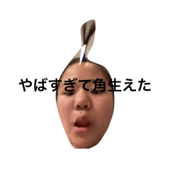 Rei_20260511154448