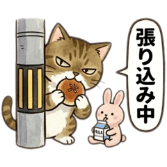 norineko71_20260525213545