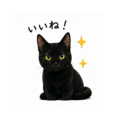 Easy-to-Use Rai Cat Stickers