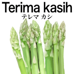 Flesh Asparagus 15