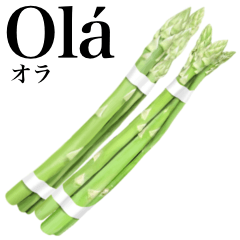 Flesh Asparagus 18