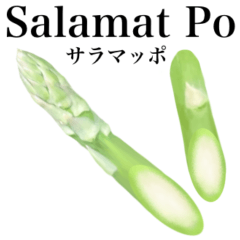 Flesh Asparagus 16