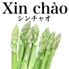Flesh Asparagus 20