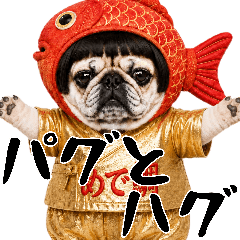 Japanesestickersofpugexpressinggratitude