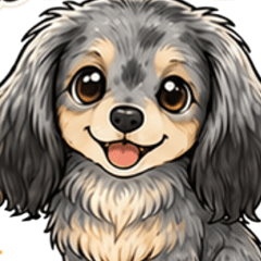 Everyday Silver Dapple Dachshund