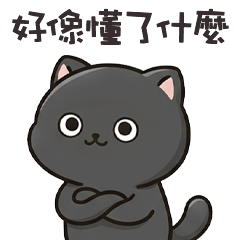 (ΦωΦ)ツ 萌貓貓好像懂了什麼