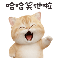 ヾ(*ΦωΦ)ツ小貓貓笑他啦
