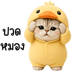 Chubby cute cat in duck outfit