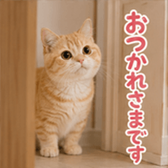Munchkin Cats & Cat Lovers Poem