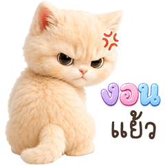 ❤️ครีมมี่ แมวตัวตึง❤️