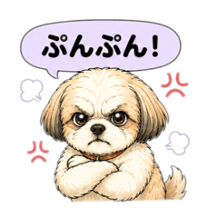 a-ko_20260521191836
