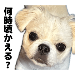 mugichan_20260521192633