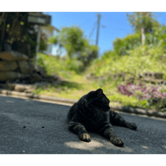 tanaka_20260521193642