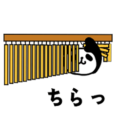 percussionist pandas