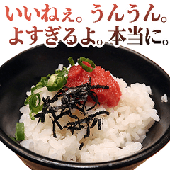 More Affirmative rice bowl