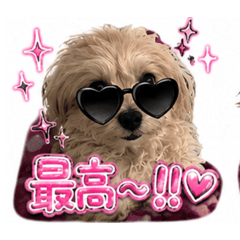 kurukawaii