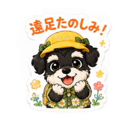 My puppy_20260512064521