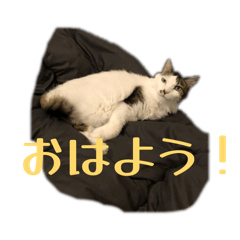 KIT_20260512134554