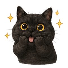 QQQQQQQQQQQQblack cat2wordless