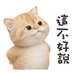 ヾ(*ΦωΦ)ツ小貓貓這不好說