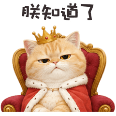 ヾ(*ΦωΦ)ツ小貓貓朕知道了