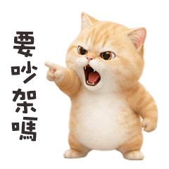 chubby chubby cat44L