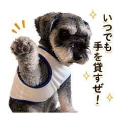 SUZU_20260521210527