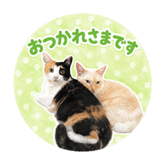 Kana_20260521210732