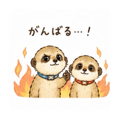 omu_20260521215734