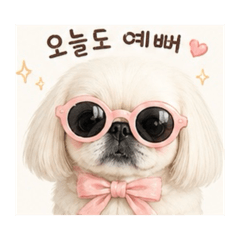 Y.Hsan_20260512005607