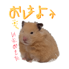 dosuko_20260521222150