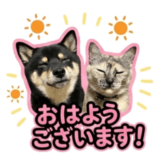 Mimi_20260521225642