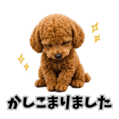 YUZUKABO_20260522174004
