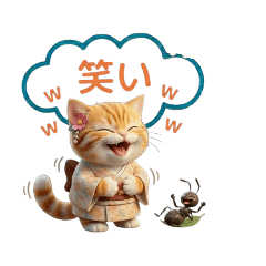 A Cat's summer daily life
