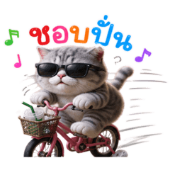 กับตัน แมวเทา_จอมป่วน