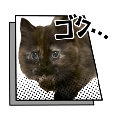 K_20260511211456
