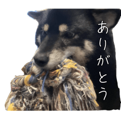 suzuna_20260519193809