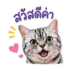 Mojimojicat Dukdik